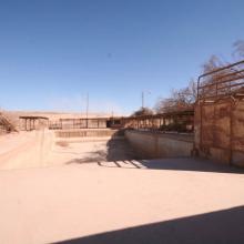 Imagen del monumento Entorno que indica de la oficina salitrera Pedro de Valdivia