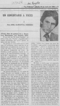 Un comentario a "Voces" Un comentario a "Voces"