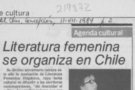Literatura femenina se organiza en Chile Literatura femenina se organiza en Chile