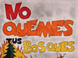Vivamos sin Incendios Forestales: Una Mirada de los Estudiantes