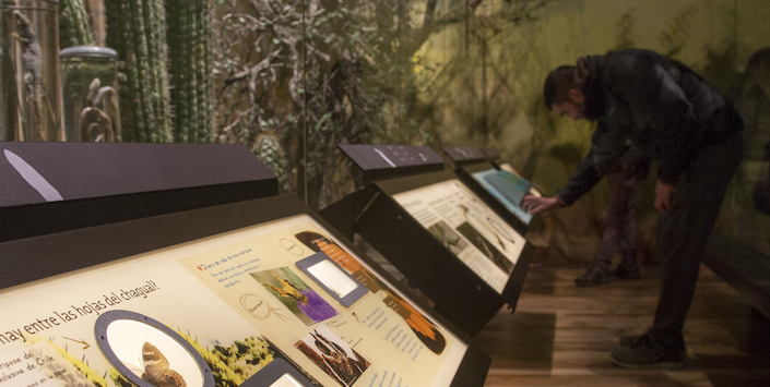 Museo de Historia Natural de Valparaíso