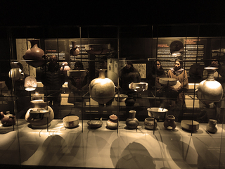 Colecciones del Museo del Limarí.