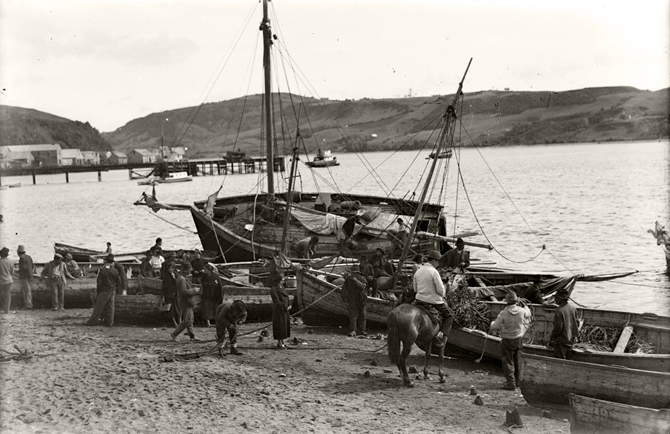Bordemar de Castro, Chiloé. Bordemar de Castro, Chiloé.