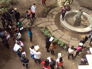 Inicio visita guiada en el Patio de Los Tilos