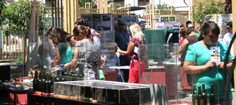 Feria patrimonial, Plaza de la Cultura Osvaldo Ventura López.