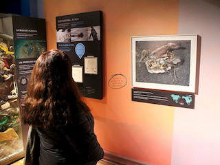 MDMN: Alerta, Plásticos una Amenaza para los Ecosistemas