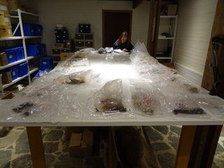 Trabajo en depósito arqueológico