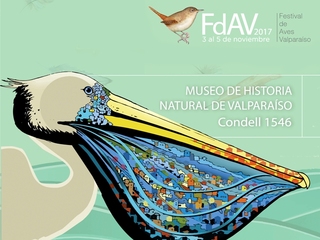 Lanzamiento oficial del Primer Festival de Aves Valparaíso (FdAV 2017)