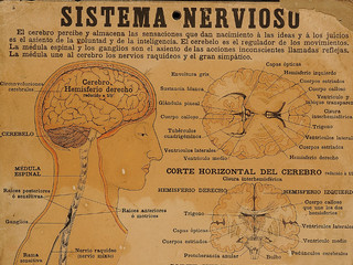 Educación e imagen: formas de modelar la realidad