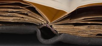 Detalle escartivanas después del tratamiento