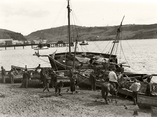 Bordemar de Castro, Chiloé.