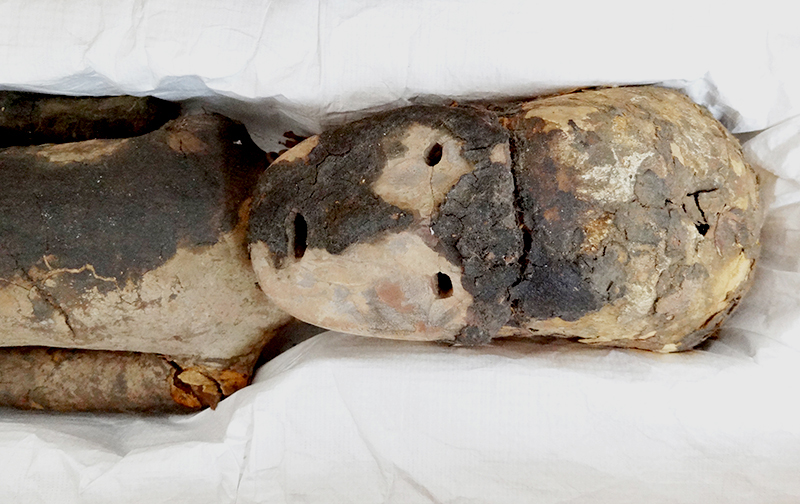 Párvulo momificado cultura Chinchorro,3300 A.C. aprox.