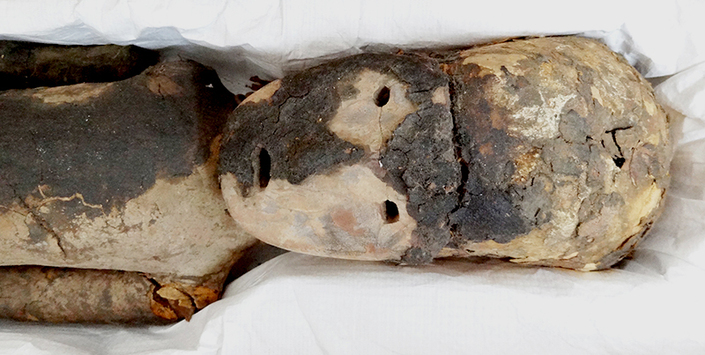 Párvulo momificado cultura Chinchorro,3300 A.C. aprox.