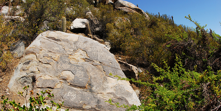 Valle de Chalinga, región de Coquimbo
