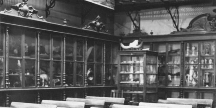 Gabinete de biología