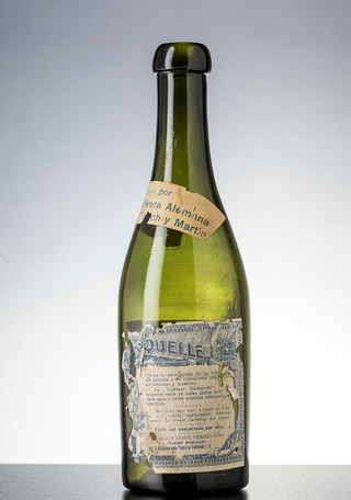 Botella de agua mineral Teplitzer Stadtquelle