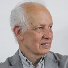 Imagen de Director del Museo Nacional de Bellas Artes