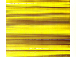 Obra de Ximena Bórquez