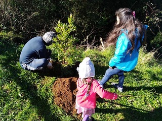 Voluntarios en jornada de plantación