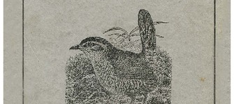 Quijada, Bernardino. Curso de Zoología. Tomo II. 1914. 184 pp.