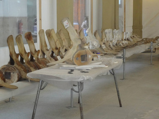 Preparación montaje