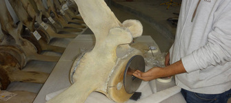 Preparación montaje 2