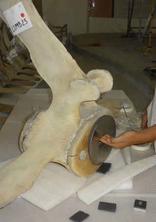 Preparación montaje 2