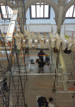 Operación Ballena 33