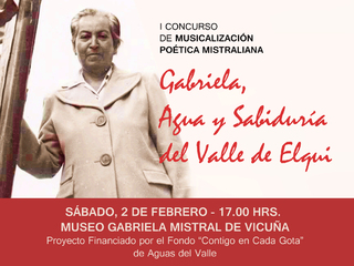 Vicuña tiene festival