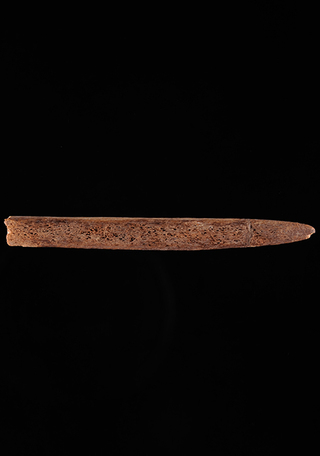 Barba de anzuelo de hueso, Norte Grande