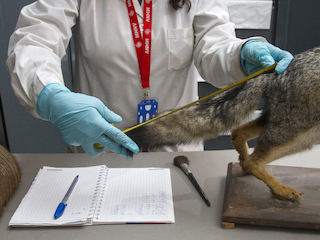 FMIM convocatoria 2019