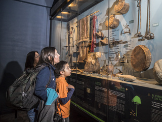 Museo de Historia Natural de Concepción