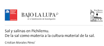 Sal y salinas en Pichilemu. De la sal como materia a la cultura material de la sal
