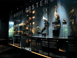 Vitrina El Borde Costero