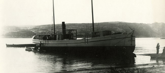 Falucho en Constitución