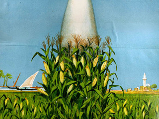 Iconografía del salitre en Egipto