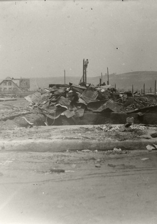 Panorama del siniestro