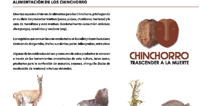 Guía educativa especies asociadas a la cultura Chinchorro