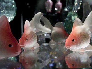 Llueva o truene, ven a celebrar junto a nosotros!!