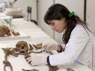 Antropología física