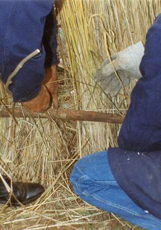 Forrado exterior (detalle)