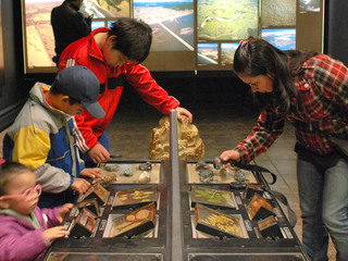 El Mesón del Científico