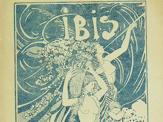 Portada Ibis, año I, nº 4-5 (1921)