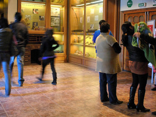 Sala Los Naturalistas