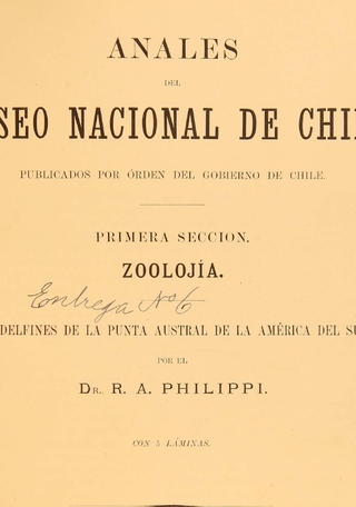 Anales MNHN, Delfines de la Punta Austral, 1892