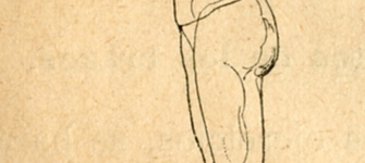 Movimiento de brazos