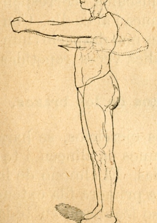 Movimiento de brazos