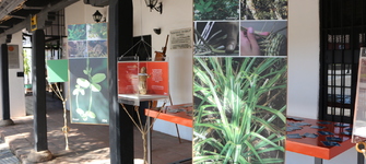 Corredor entrada al Museo