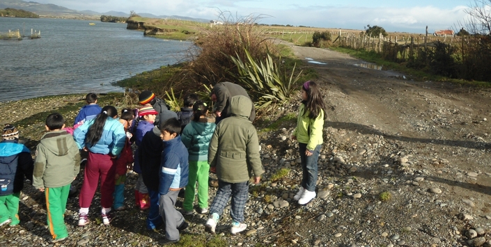 Visita a sitio arqueológico Puente Quilo, comuna de Ancud