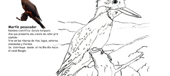 Martín pescador